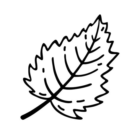 Tree leaf vector icon. Hand drawn illustration isolated on white ...