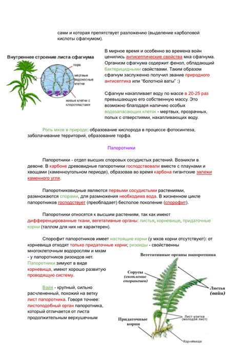 ЕГЭ биология 2026 книги