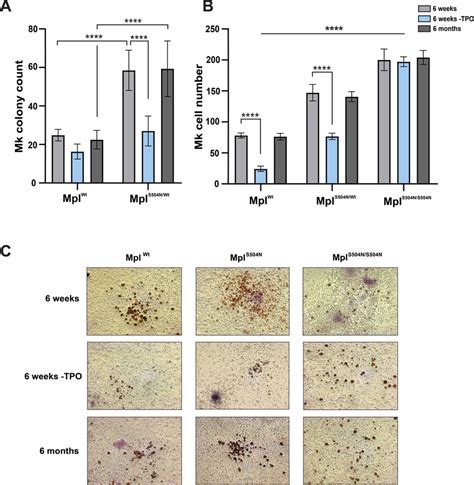 Mpls504n Confers Tpo Independent Megakaryocyte Production A Graphs