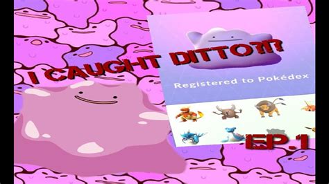 Pokemon Go I Caught Ditto How To Find Ditto My Ditto Story Youtube