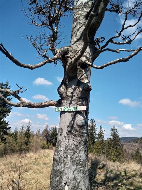 Park Krajobrazowy Sudetów Wałbrzyskich idealne miejsce na majówkę