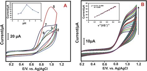 A Cyclic Voltammetry Response Of Ceo 2 Nps Modified Gce Electrode In Download Scientific