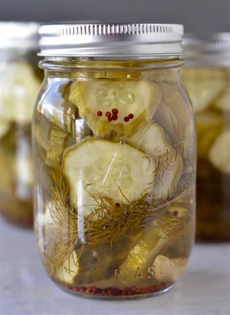 Dill Pickle Chips - Mountain Mama Cooks