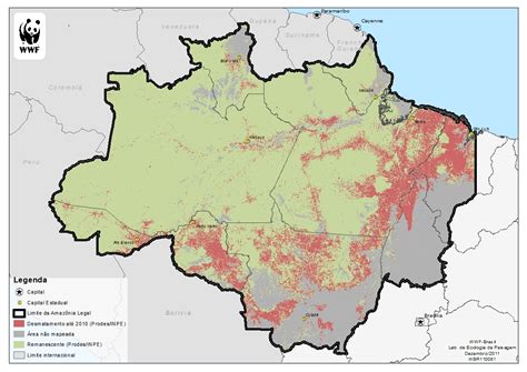 Acto Announces Top Priority For Deforestation Monitoring In The Amazon