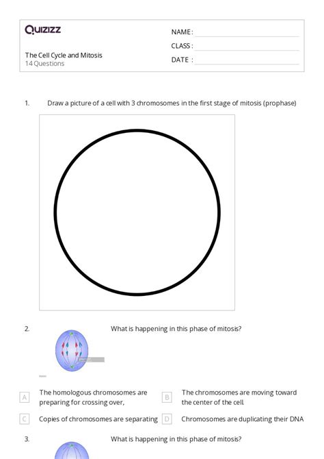 50 The Cell Cycle And Mitosis Worksheets For 9th Class On Quizizz