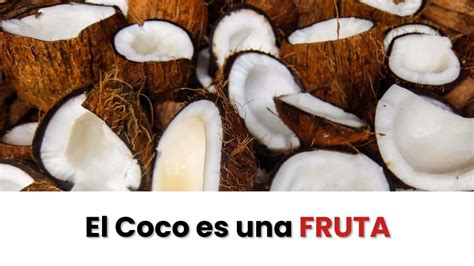 El Coco Es Fruta O Verdura Estudiar Cocina