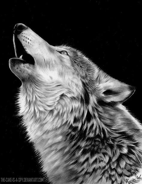 Awesome Wolf Howling - Amazing Wolves Photo (36715679) - Fanpop