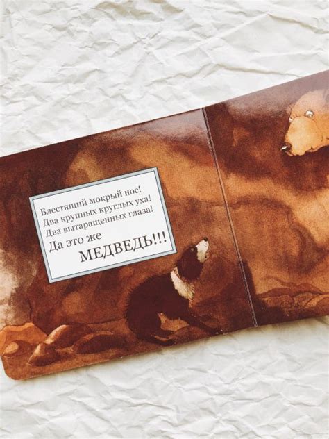 Идем ловить медведя - Vilki Books