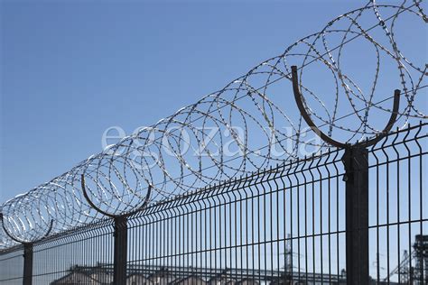 Загородження спіральне Єгоза-Стандарт | Єгоза