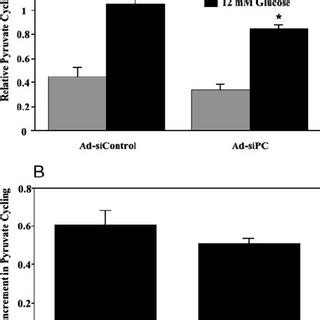 SiRNA Mediated Suppression Of PC Decreases ATP And KG Levels In