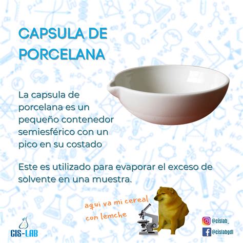 Para Que Sirve La Capsula De Porcelana