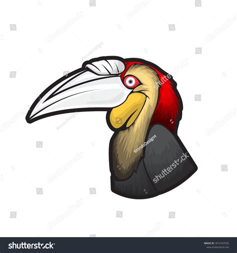 Detail Burung Enggang Vector Koleksi Nomer 2