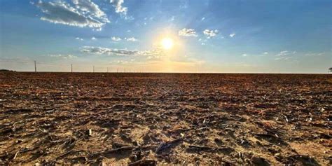 Nova Onda De Calor Atinge Diversos Estados A Partir Desta Quinta 14