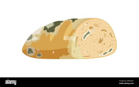 Spoiled Bread Food Rotten Food Product Organic Food Waste Cartoon