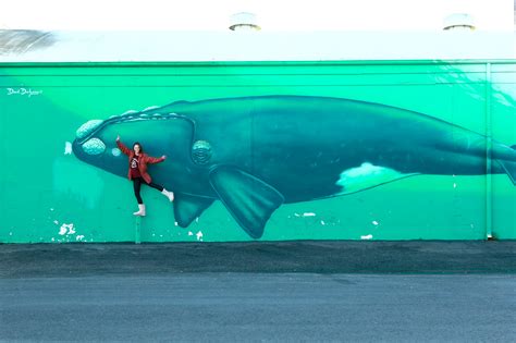 Whalemural Jena Ardell Photography Blogjena Ardell Photography Blog