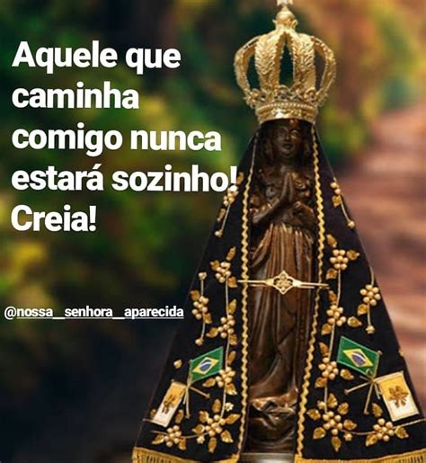 Curtidas Coment Rios Nossa Senhora Aparecida Nossa Senh