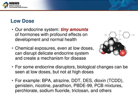 Ppt Endocrine Disruptors Where Do We Go From Here Powerpoint