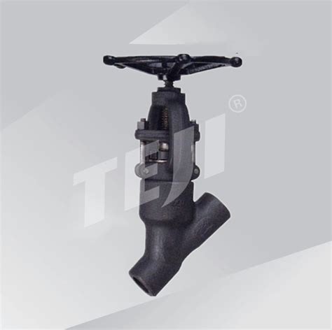 Forged Globe Valve Forged Steel Valves Y Type Forged Globe Valve Teji Valve Group Co Ltd