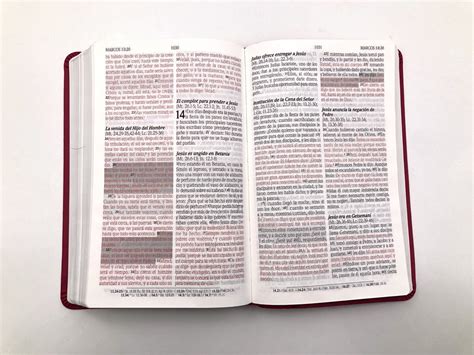 Santa Biblia De Promesas Rvr Tama O Manual Letra Grande Piel