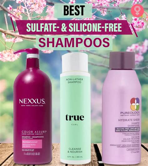 17 Best Sulfate And Silicone Free Shampoos As Per An Expert 2024