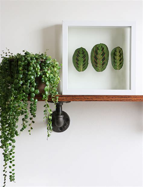 DIY: Pressed Plant Frame – Alana Jones-Mann