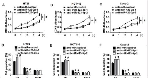 Inhibition Of Mir P Repressed Crc Cell Proliferation And