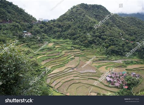 Bangaan Rice Terraces Banaue Rice Terraces Stock Photo 537719224 ...