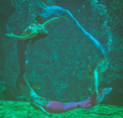 Weeki Wachee Mermaids 01 By Dretography On Deviantart