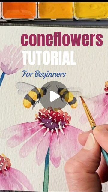 Elizabeth Bostic On Instagram Watercolor Coneflowers For Beginners