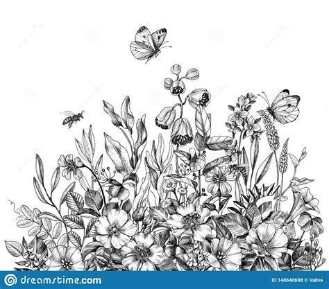 Hand Drawn Wild Flowers, Bees and Butterfly. Hand drawn wildflowers ...