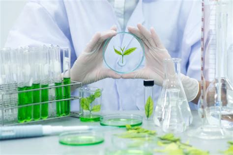 Industrial Biotechnology Internship — BioTecNika Store