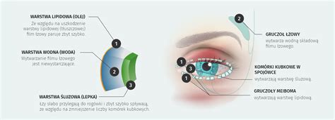 SUCHE OKO IJ Diagnostyka i leczenie zespołu suchego oka Schorzenie