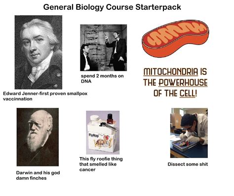 General Biology Course Starterpack : r/starterpacks