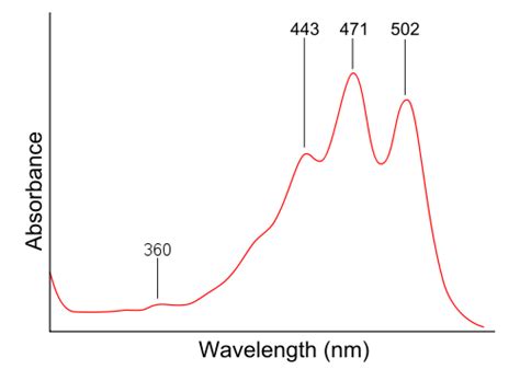 What is UV-Vis Spectroscopy? And How Does It Apply To Conjugation?