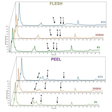 Representative Total Ion Current Tic Chromatograms Of Flesh And