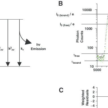 A Simplified Jablonski Diagram Illustrating Processes Involved In