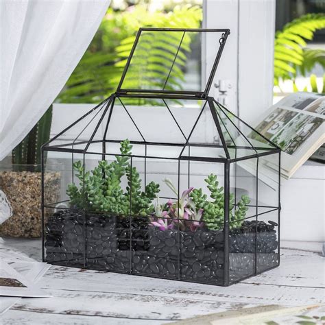 Gu A Para Construir Un Terrario De Plantas Para Decorar Tu Casa