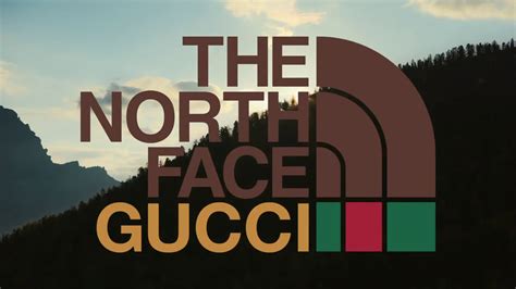 画像 gucci x north face hoodie 255465-Gucci x the north face cotton ...