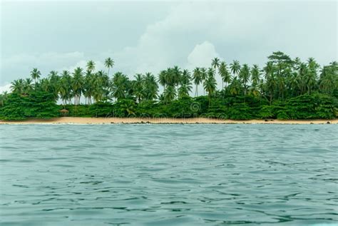 Desert Island With Palm Trees View From The Sea Stock Photo Image Of