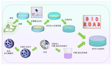 一种可递送生长因子的超强粘性水凝胶及其制备方法与应用