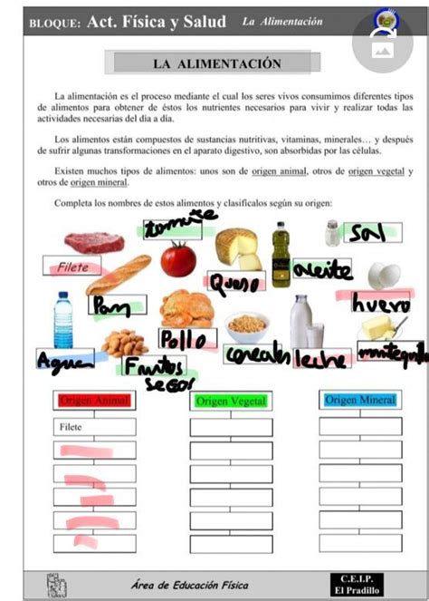 Completa Los Nombres De Estos Alimentos Y Clasif Calos Seg N Su Origen