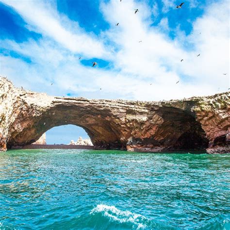 7 Reasons To Put Paracas And The Islas Ballestas On Your Bucket List