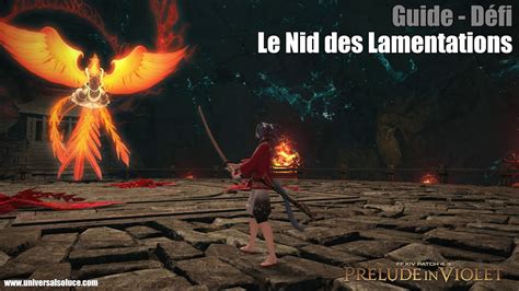 Final Fantasy XIV 4 4 Défi Guide Le Nid des Lamentations YouTube