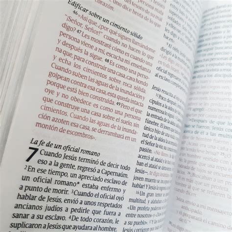 Biblia Ntv Compacta Letra Grande Apocalipsis Libreria