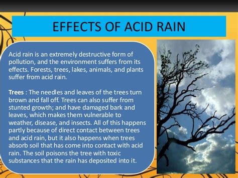 Acid Rain