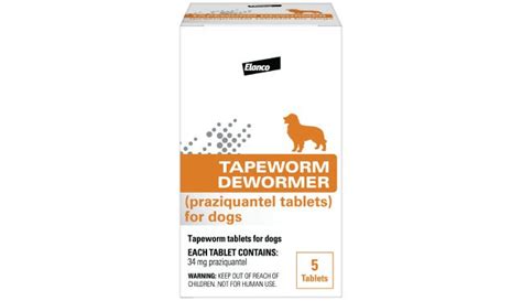 How Are Tapeworms Treated In Dogs