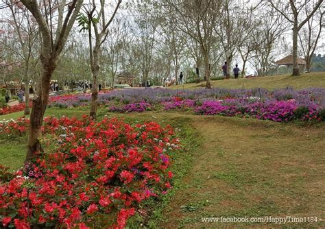 รูป Flora Park Wongnai