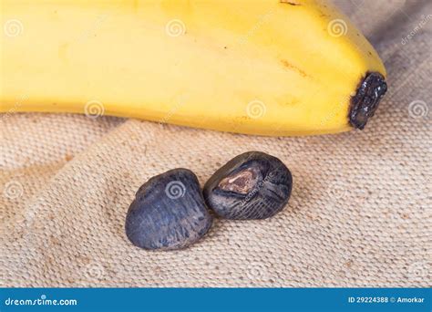 Banana seeds closeup stock photo. Image of life, crop - 29224388