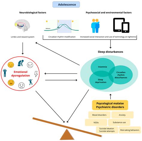 Brain Sciences Free Full Text Sleep Deprivation And Insomnia In