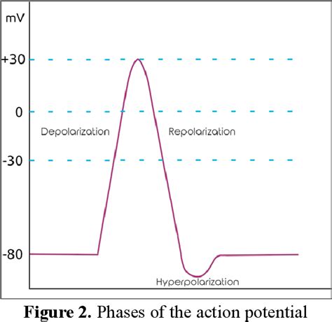 Depolarization Graph